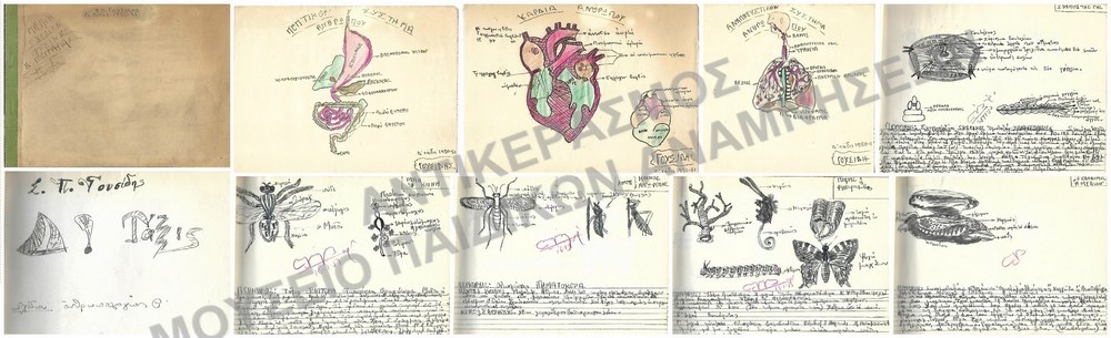 ΤΕΤΡΑΔΙΟ ΖΩΟΛΟΓΙΑΣ- ΑΝΘΡΩΠΟΛΟΓΙΑΣ ΤΟΥ Σ. Π. ΓΟΥΣΙΔΗ Δ΄ ΔΗΜΟΤΙΚΟΥ 1950-1951