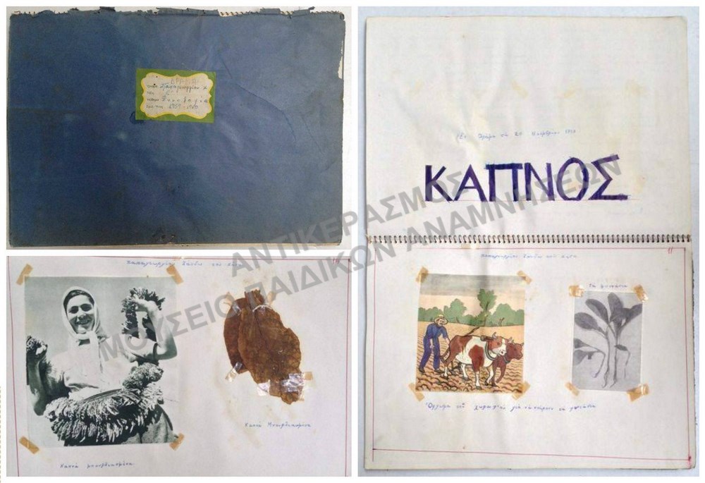 ΦΥΤΟΛΟΓΙΟ ΠΑΠΑΓΕΩΡΓΙΟΥ Χ., ΔΡΑΜΑ 1959-1960