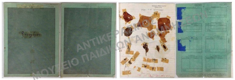 ΦΥΤΟΛΟΓΙΑ ΤΗΣ ΚΑΛΛΙΦΑΤΙΔΟΥ ΤΟΥΛΑΣ 1950-1960