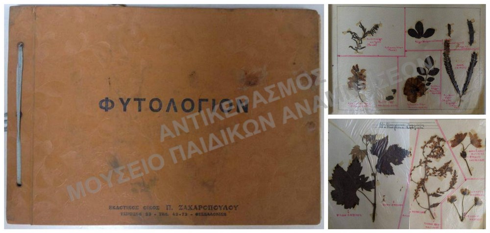 ΦΥΤΟΛΟΓΙΟ-ΖΩΟΛΟΓΙΟ 1950-1960