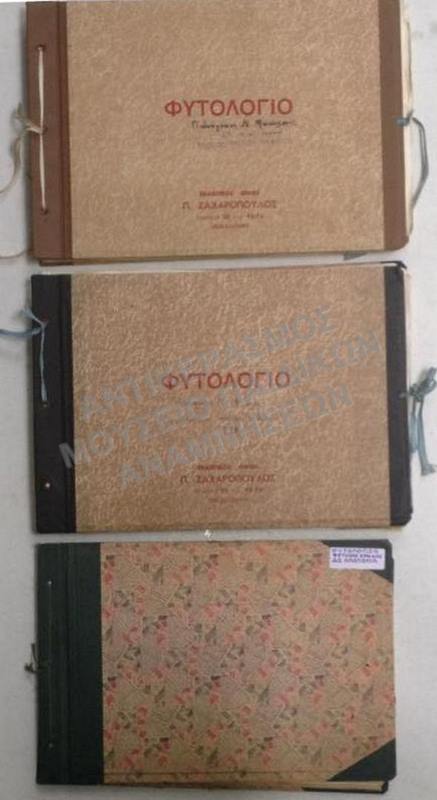 ΦΥΤΟΛΟΓΙΑ ΚΩΝΣΤΑΝΤΙΝΟΥ ΚΑΙ ΠΑΝΑΓΙΩΤΗ ΦΩΤΗΛΑ, ΑΜΕΡΙΚΑΝΙΚΟ ΚΟΛΛΕΓΙΟ ΑΝΑΤΟΛΙΑ