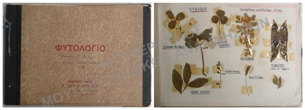 ΦΥΤΟΛΟΓΙΟ Π. Ν. ΦΩΤΗΛΑ ΑΜΕΡΙΚΑΝΙΚΟ ΚΟΛΛΕΓΙΟ ΑΝΑΤΟΛΙΑ