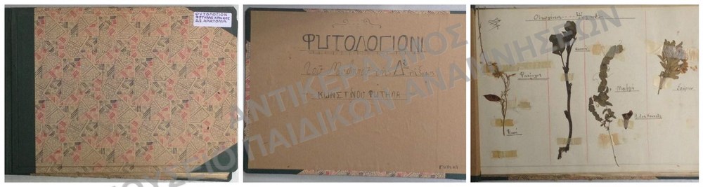 ΦΥΤΟΛΟΓΙΟ ΦΩΤΗΛΑ ΚΩΝΣΤΑΝΤΙΝΟΥ ΑΜΕΡΙΚΑΝΙΚΟ ΚΟΛΛΕΓΙΟ ΑΝΑΤΟΛΙΑ